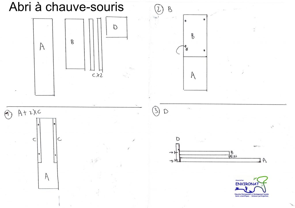 COMMENT CONSTRUIRE UN NICHOIR À CHAUVES-SOURIS 