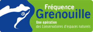 frequence grenouille